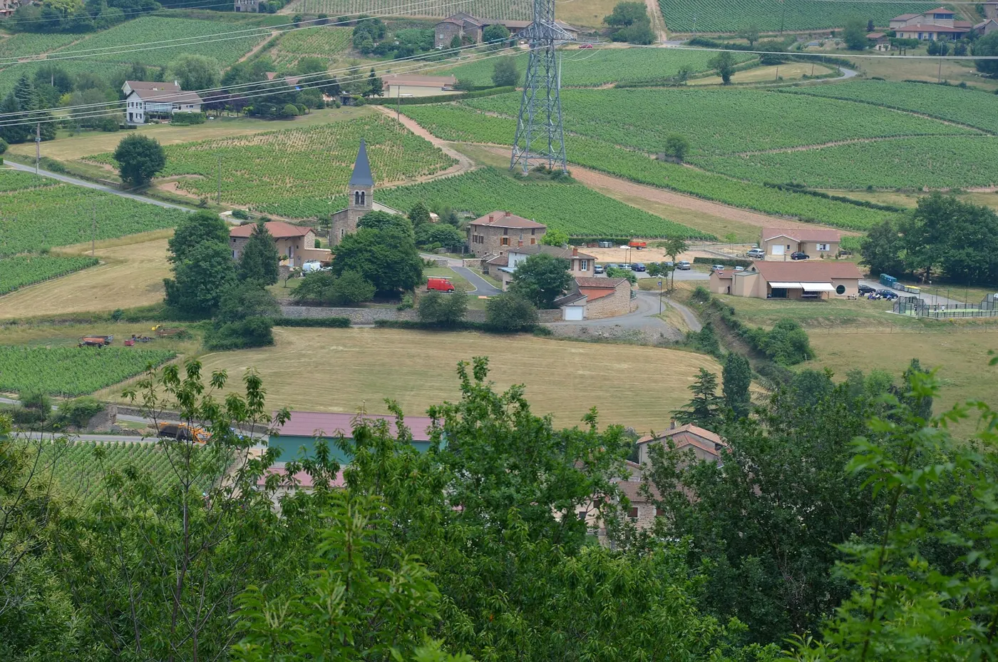 Le village de Serrières entre ses coteaux de vigne